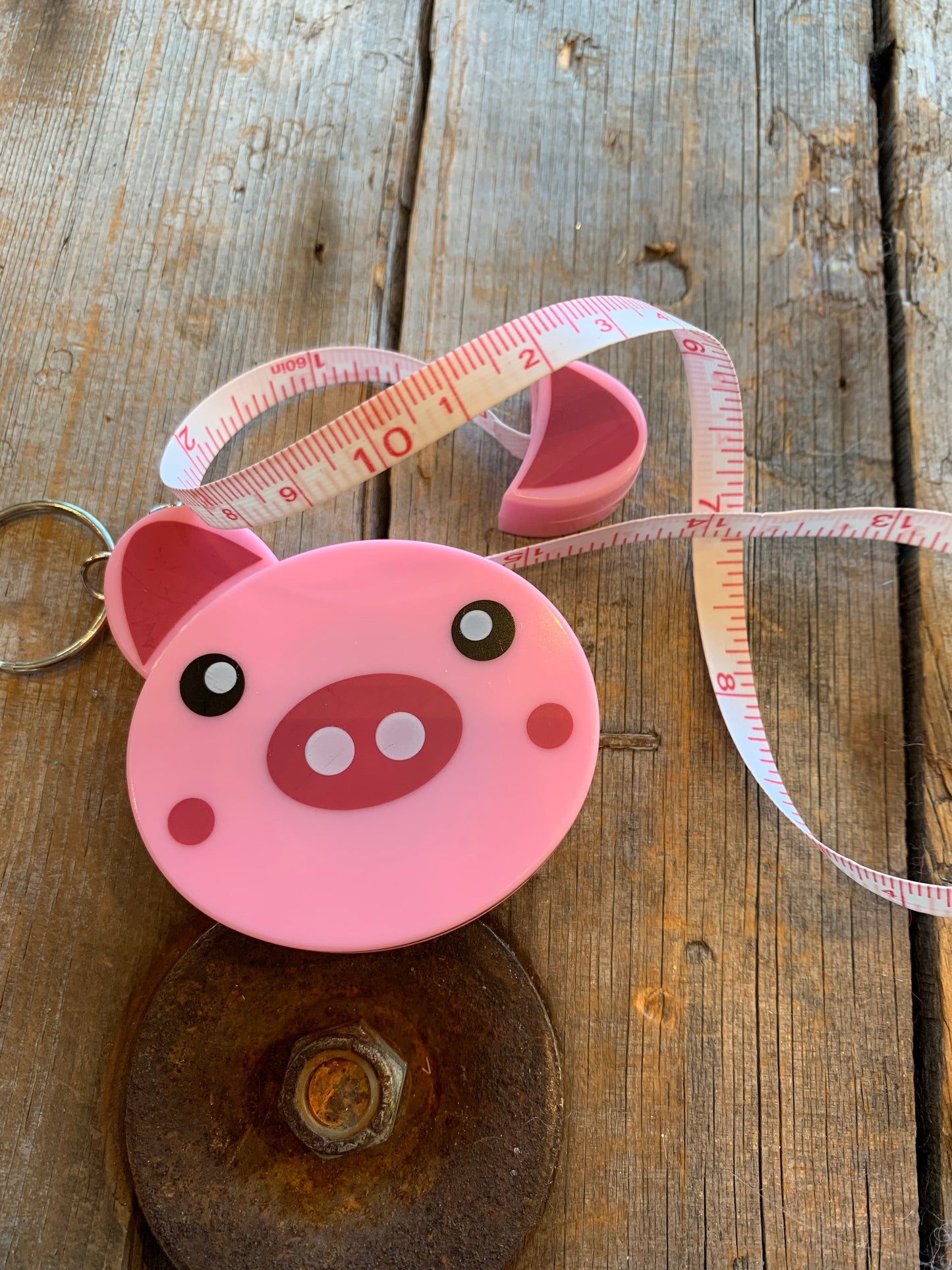 Rubans à mesurer animaux / Animals Tape measure