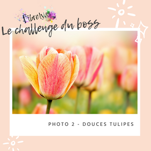 Marbelous - Douces Tulipes