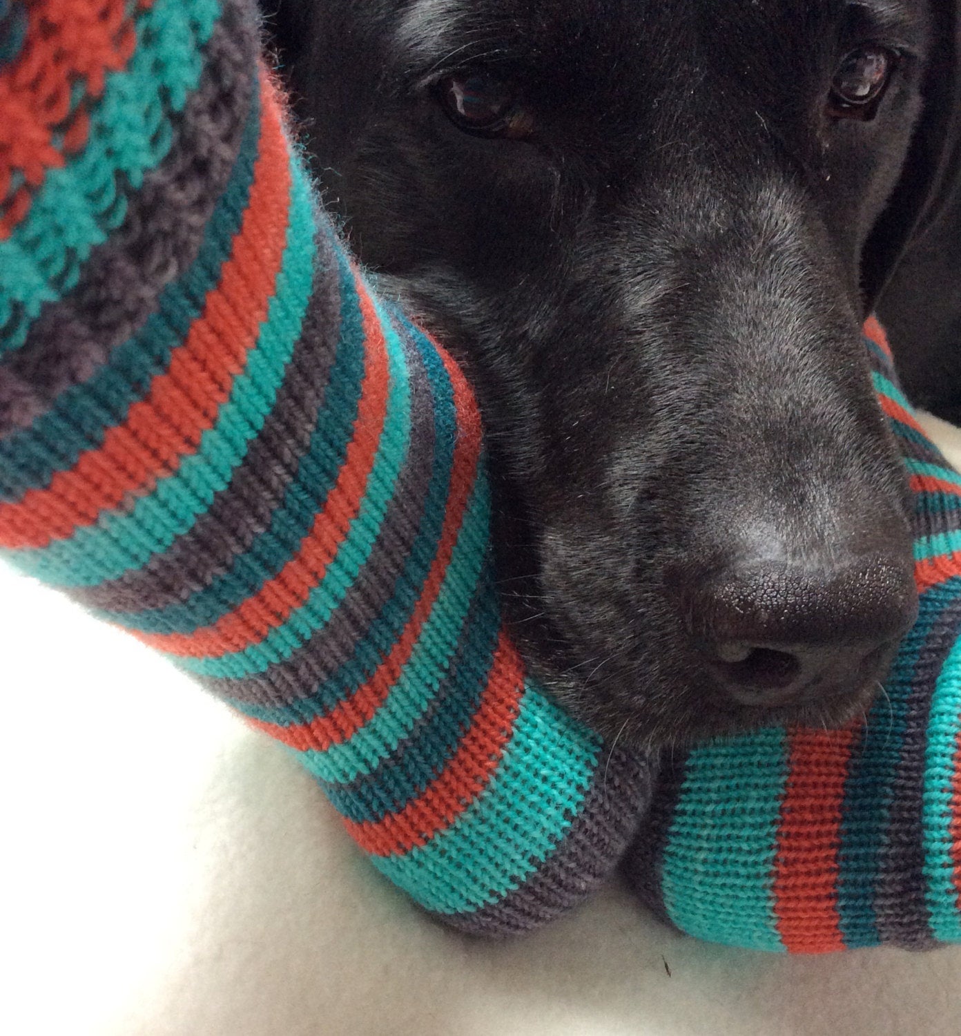 Sock Star - Stripes - Medusa